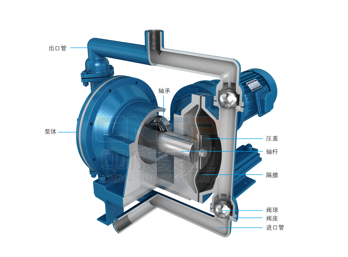 DDGMBJPT.jpg DDGMBJPT.jpg